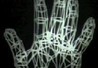 Screen capture showing polygons used to model the surface of the hand.